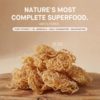 Raw Wildcrafted Sea Moss 4oz